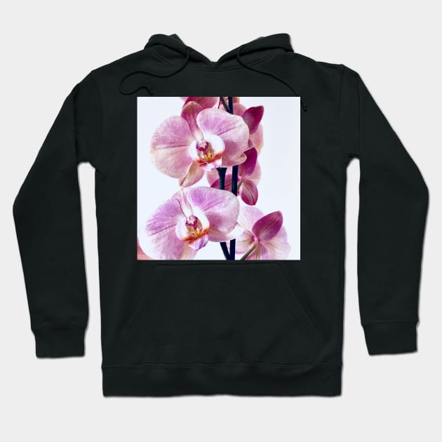 Pink orchid flower blossom, flower photography. Hoodie by BlackWhiteBeige